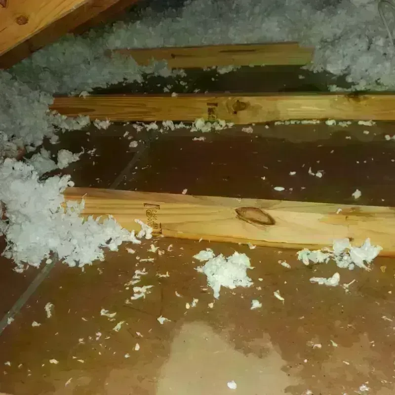 Attic Water Damage in Thurmond, NC