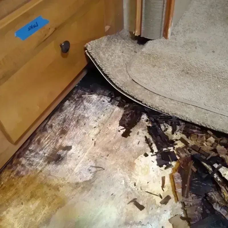 Wood Floor Water Damage in Thurmond, NC